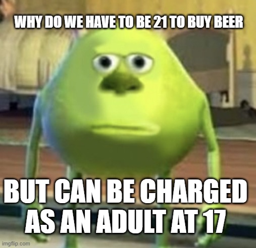Fair enough??? | WHY DO WE HAVE TO BE 21 TO BUY BEER; BUT CAN BE CHARGED AS AN ADULT AT 17 | image tagged in mike wazowski face swap | made w/ Imgflip meme maker