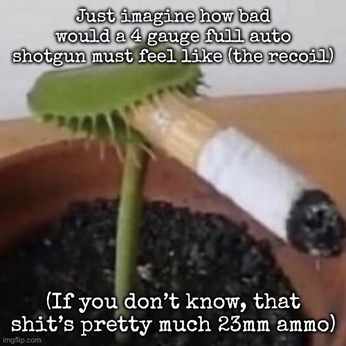 Although not all, the KS-23 fires 4 gauge | Just imagine how bad would a 4 gauge full auto shotgun must feel like (the recoil); (If you don’t know, that shit’s pretty much 23mm ammo) | image tagged in plant weeds,msmg | made w/ Imgflip meme maker