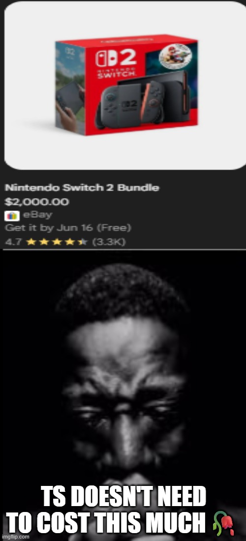 I feel so bad for die-hard nintendo fans | TS DOESN'T NEED TO COST THIS MUCH🥀 | made w/ Imgflip meme maker