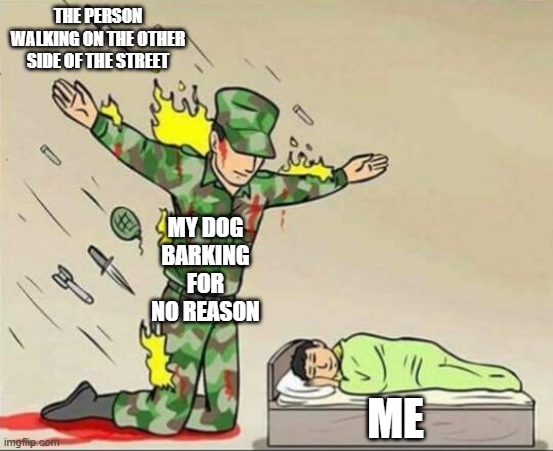 free epic Ajika | THE PERSON WALKING ON THE OTHER SIDE OF THE STREET; MY DOG BARKING FOR NO REASON; ME | image tagged in soldier protecting sleeping child | made w/ Imgflip meme maker