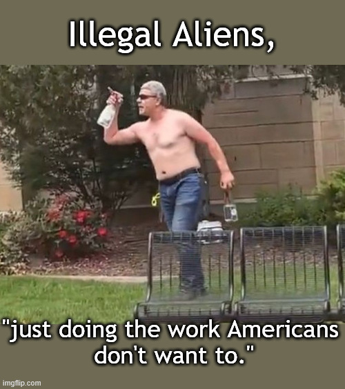 Nothing to see here... | Illegal Aliens, "just doing the work Americans
 don't want to." | image tagged in mohamed sabry soliman | made w/ Imgflip meme maker