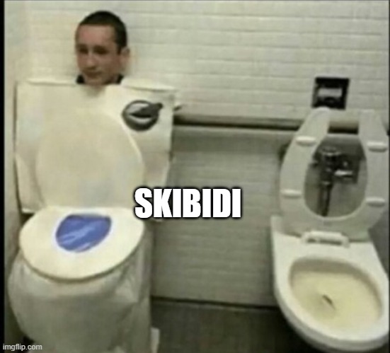 don't pee in here | SKIBIDI | image tagged in toilet disguise,skibidi toilet | made w/ Imgflip meme maker
