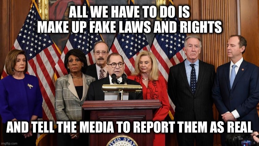 House Democrats | ALL WE HAVE TO DO IS MAKE UP FAKE LAWS AND RIGHTS; AND TELL THE MEDIA TO REPORT THEM AS REAL | image tagged in house democrats,liberal logic,liberal hypocrisy | made w/ Imgflip meme maker