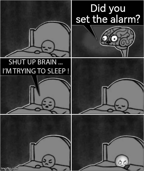 Now I *set* the alarm! So, sleep time. | Did you set the alarm? | image tagged in shut up brain i'm trying to sleep,alarm,memes,funny | made w/ Imgflip meme maker