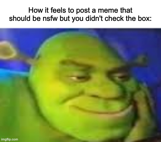 bad toad | How it feels to post a meme that should be nsfw but you didn't check the box: | image tagged in shrek sus | made w/ Imgflip meme maker