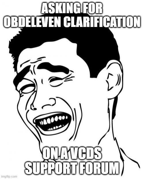 Yao Ming Meme | ASKING FOR OBDELEVEN CLARIFICATION; ON A VCDS SUPPORT FORUM | image tagged in memes,yao ming | made w/ Imgflip meme maker