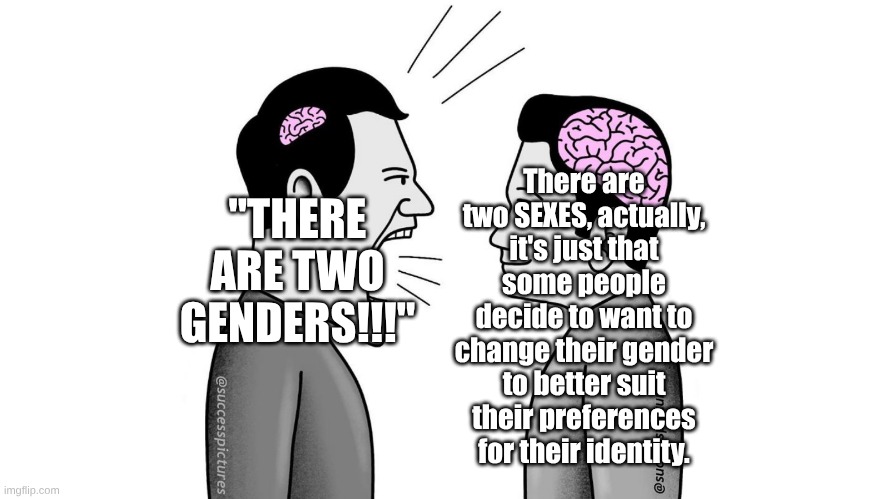 small brain yelling at big brain | There are two SEXES, actually, it's just that some people decide to want to change their gender to better suit their preferences for their identity. "THERE ARE TWO GENDERS!!!" | image tagged in small brain yelling at big brain,lgbtq,fresh memes | made w/ Imgflip meme maker