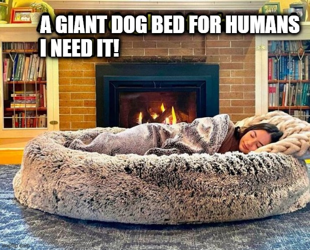 A GIANT DOG BED FOR HUMANS; I NEED IT! | image tagged in sleepy | made w/ Imgflip meme maker