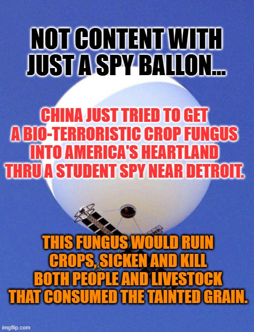 China Spy Balloon [ d-_-b TEMPLATE ] | NOT CONTENT WITH JUST A SPY BALLON... CHINA JUST TRIED TO GET A BIO-TERRORISTIC CROP FUNGUS INTO AMERICA'S HEARTLAND THRU A STUDENT SPY NEAR DETROIT. THIS FUNGUS WOULD RUIN CROPS, SICKEN AND KILL BOTH PEOPLE AND LIVESTOCK THAT CONSUMED THE TAINTED GRAIN. | image tagged in china spy balloon d-_-b template | made w/ Imgflip meme maker