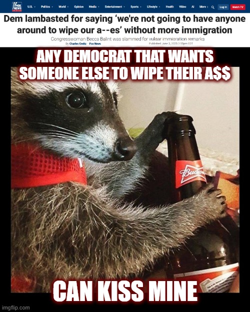 This should be motivation for any illegal to deport themself | ANY DEMOCRAT THAT WANTS SOMEONE ELSE TO WIPE THEIR A$$; CAN KISS MINE | image tagged in politics,american politics,liberal logic,maga,illegal immigration,illegal immigrants | made w/ Imgflip meme maker