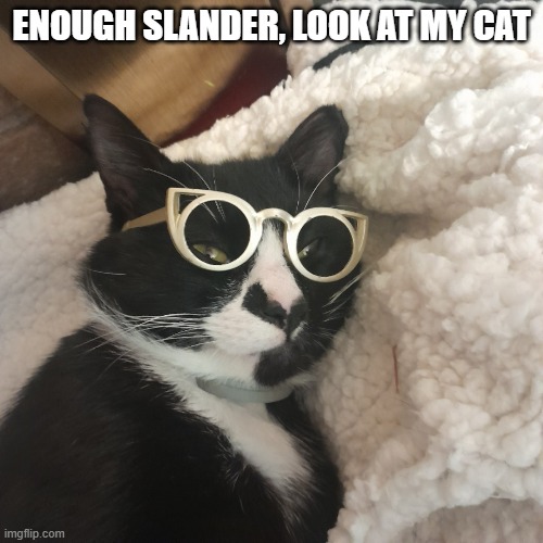 he's a goober :3 | ENOUGH SLANDER, LOOK AT MY CAT | image tagged in cat,reveal | made w/ Imgflip meme maker