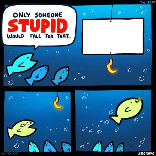 Only someone stupid would fall for that | image tagged in only someone stupid would fall for that | made w/ Imgflip meme maker
