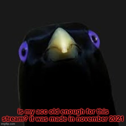 just curious | is my acc old enough for this stream? it was made in november 2021 | image tagged in u want sum fuk | made w/ Imgflip meme maker