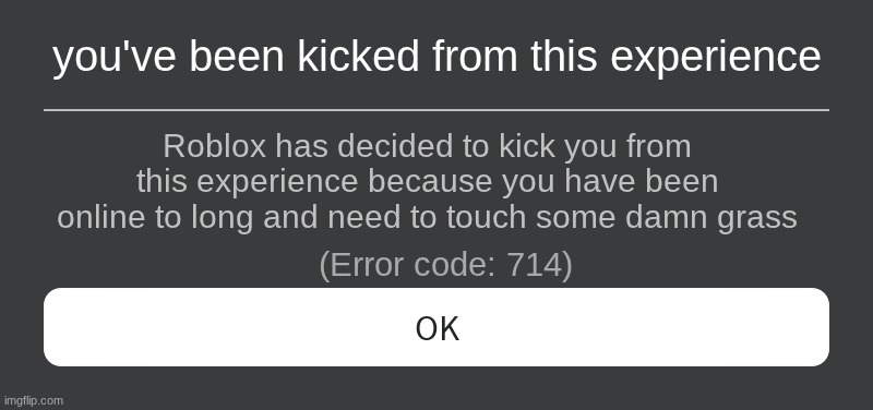 Roblox Error Message | you've been kicked from this experience; Roblox has decided to kick you from this experience because you have been online to long and need to touch some damn grass; (Error code: 714) | image tagged in roblox error message | made w/ Imgflip meme maker