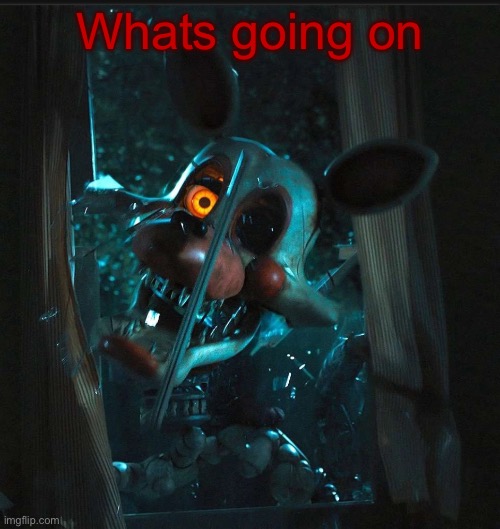 Toady’s Mangle announcement temp | Whats going on | image tagged in toady s mangle announcement temp | made w/ Imgflip meme maker