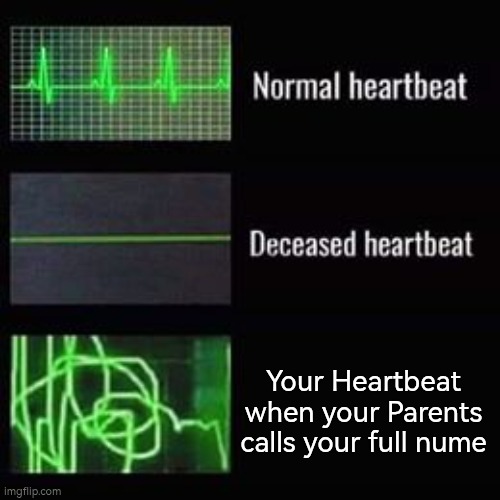 That is always the most scary part. | Your Heartbeat when your Parents calls your full nume | image tagged in heartbeat rate,memes,parents,name | made w/ Imgflip meme maker