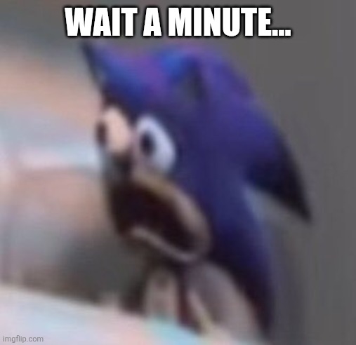 Traumatised Sonic | WAIT A MINUTE... | image tagged in traumatised sonic | made w/ Imgflip meme maker