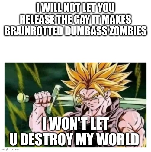 Give her skirt | I WILL NOT LET YOU RELEASE THE GAY IT MAKES BRAINROTTED DUMBASS ZOMBIES I WON'T LET U DESTROY MY WORLD | image tagged in give her skirt | made w/ Imgflip meme maker
