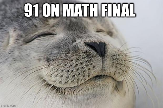 Satisfied Seal | 91 ON MATH FINAL 👍 | image tagged in memes,satisfied seal | made w/ Imgflip meme maker