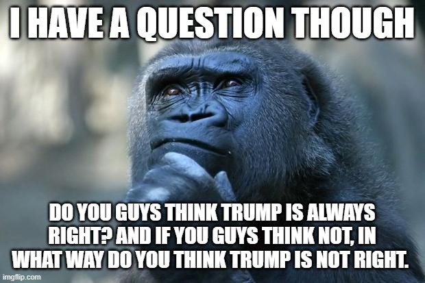 im talking about his opinions, not the political kinda right | I HAVE A QUESTION THOUGH; DO YOU GUYS THINK TRUMP IS ALWAYS RIGHT? AND IF YOU GUYS THINK NOT, IN WHAT WAY DO YOU THINK TRUMP IS NOT RIGHT. | image tagged in deep thoughts | made w/ Imgflip meme maker