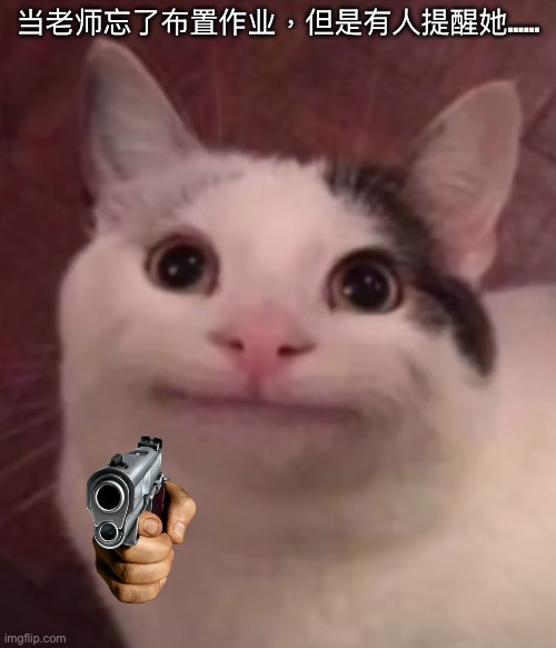 fake smile cat | 当老师忘了布置作业，但是有人提醒她…… | image tagged in fake smile cat | made w/ Imgflip meme maker