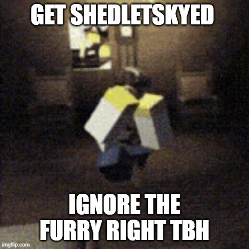 GET SHEDLETSKYED; IGNORE THE FURRY RIGHT TBH | image tagged in roblox,forsaken,anti-furry | made w/ Imgflip meme maker