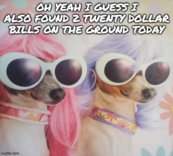 Groovy dawgs | OH YEAH I GUESS I ALSO FOUND 2 TWENTY DOLLAR BILLS ON THE GROUND TODAY | image tagged in groovy dawgs | made w/ Imgflip meme maker