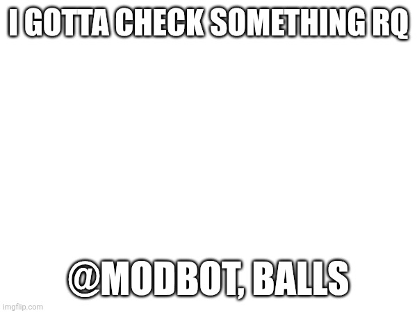 @modbot | I GOTTA CHECK SOMETHING RQ; @MODBOT, BALLS | image tagged in modbot | made w/ Imgflip meme maker