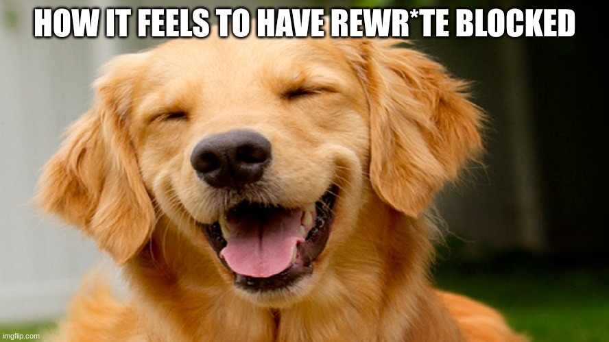 How it feels to have rewrite blocked | HOW IT FEELS TO HAVE REWR*TE BLOCKED | image tagged in smiling dog | made w/ Imgflip meme maker