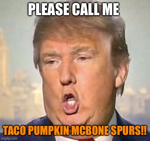 Tump NOOO | PLEASE CALL ME; TACO PUMPKIN MCBONE SPURS!! | image tagged in tump nooo | made w/ Imgflip meme maker