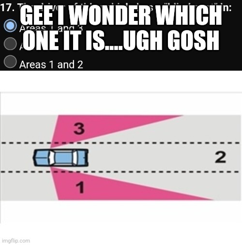 GEE I WONDER WHICH ONE IT IS....UGH GOSH | made w/ Imgflip meme maker