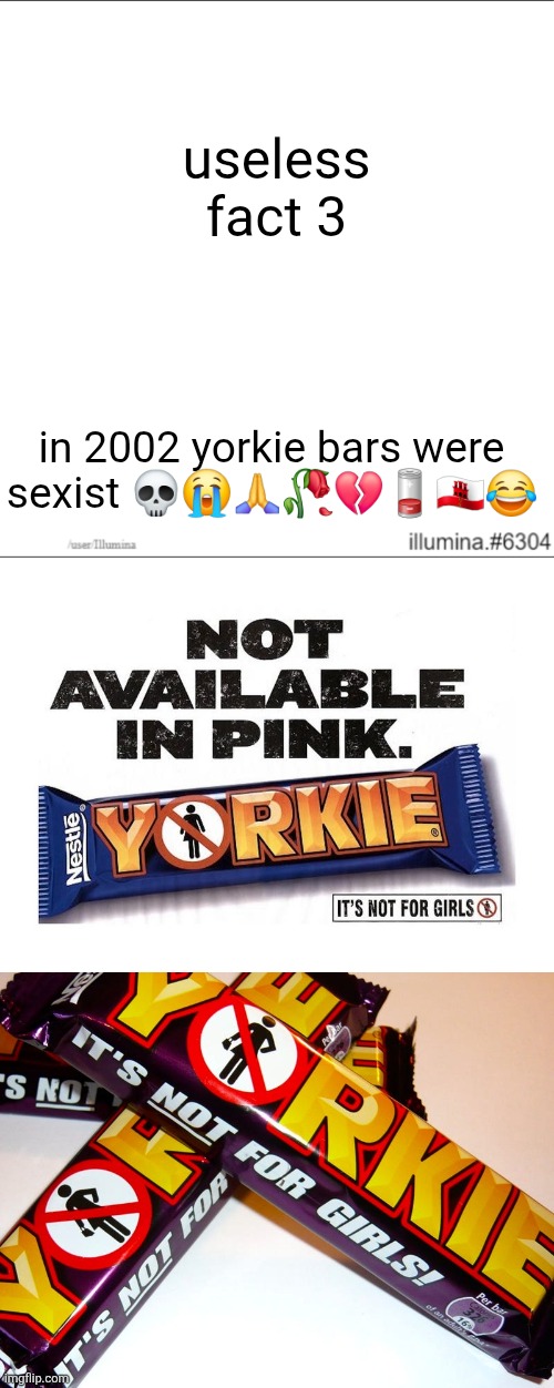 at least they taste nice | useless fact 3; in 2002 yorkie bars were sexist 💀😭🙏🥀💔🪫🇬🇮😂 | image tagged in sexism | made w/ Imgflip meme maker