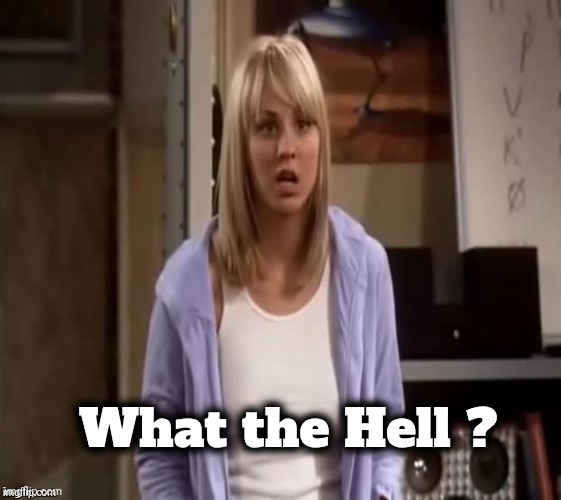 Confused Penny | What the Hell ? | image tagged in confused penny | made w/ Imgflip meme maker