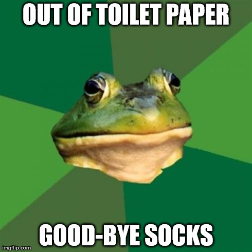 Foul Bachelor Frog | OUT OF TOILET PAPER GOOD-BYE SOCKS | image tagged in memes,foul bachelor frog | made w/ Imgflip meme maker