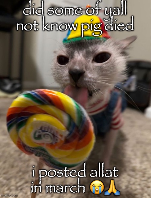 im waiting to find a funny meme face of piglet to turn her into a live reaction | did some of yall not know pig died; i posted allat in march 😭🙏 | image tagged in silly goober | made w/ Imgflip meme maker