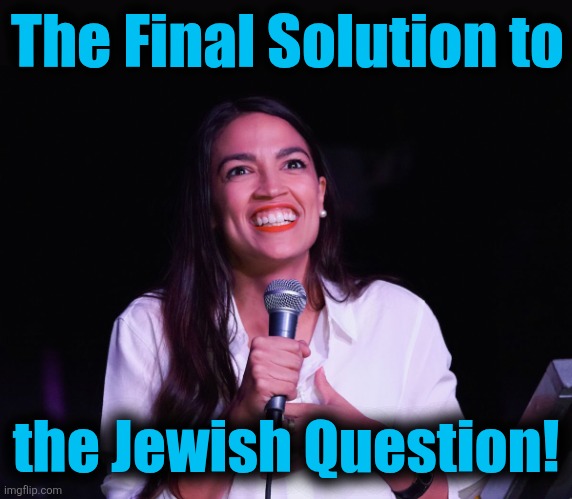 AOC Crazy | The Final Solution to the Jewish Question! | image tagged in aoc crazy | made w/ Imgflip meme maker