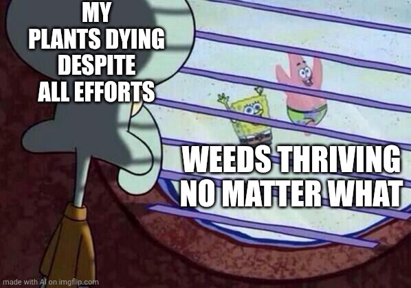 Squidward window | MY PLANTS DYING DESPITE ALL EFFORTS; WEEDS THRIVING NO MATTER WHAT | image tagged in squidward window | made w/ Imgflip meme maker