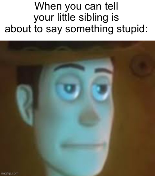 Brutha | When you can tell your little sibling is about to say something stupid: | image tagged in dissapointed woody,stupid,unfunny,why tho | made w/ Imgflip meme maker