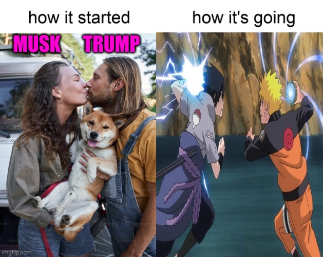 Okay, Break It Up, Guys | TRUMP; MUSK | image tagged in how it started vs how it's going,truth bomb,fight,breakup,musk v trump | made w/ Imgflip meme maker