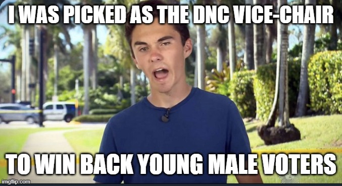 David Hogg | I WAS PICKED AS THE DNC VICE-CHAIR TO WIN BACK YOUNG MALE VOTERS | image tagged in david hogg | made w/ Imgflip meme maker