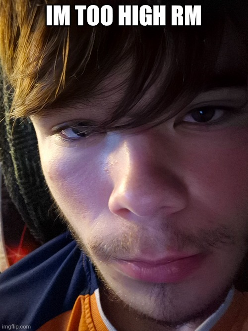 guhhhhhhhhhgvh | IM TOO HIGH RM | made w/ Imgflip meme maker