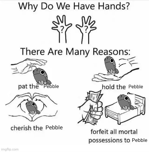 Incase you can't tell I like pebble | Pebble; Pebble; Pebble; Pebble | image tagged in why do we have hands all blank | made w/ Imgflip meme maker