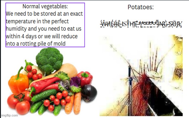 my potatoes have tansformed into 267 legged demons | image tagged in potato,funny,lol | made w/ Imgflip meme maker
