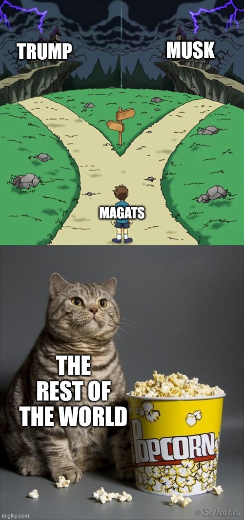 Middle School Breakup | MUSK; TRUMP; MAGATS; THE REST OF THE WORLD | image tagged in dramatic crossroads no good,cat eating popcorn,maga,elon musk,donald trump,breakup | made w/ Imgflip meme maker
