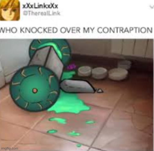 MY BUILD | image tagged in zelda,totk,link,build | made w/ Imgflip meme maker