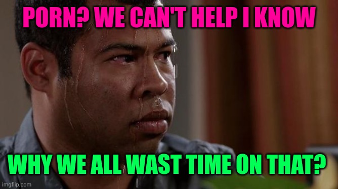sweating bullets | PORN? WE CAN'T HELP I KNOW WHY WE ALL WAST TIME ON THAT? | image tagged in sweating bullets | made w/ Imgflip meme maker