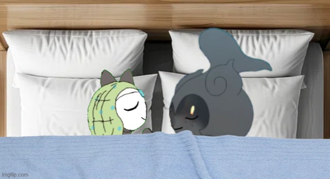 Kage and Melody sleeping together.mp3 | image tagged in kage and melody | made w/ Imgflip meme maker
