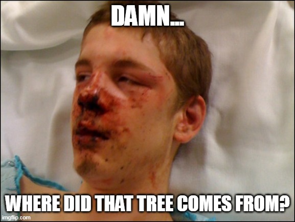 beat up guy | DAMN... WHERE DID THAT TREE COMES FROM? | image tagged in beat up guy | made w/ Imgflip meme maker