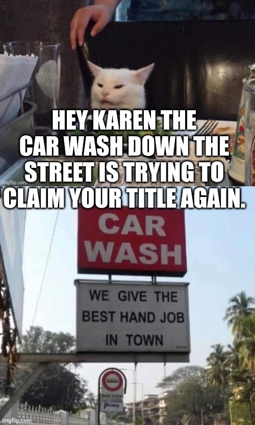 HEY KAREN THE CAR WASH DOWN THE STREET IS TRYING TO CLAIM YOUR TITLE AGAIN. | image tagged in smudge that darn cat | made w/ Imgflip meme maker