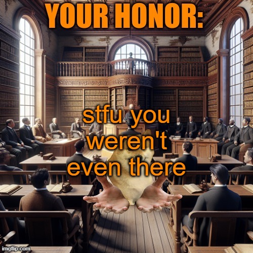 Your honor | stfu you weren't even there | image tagged in your honor | made w/ Imgflip meme maker
